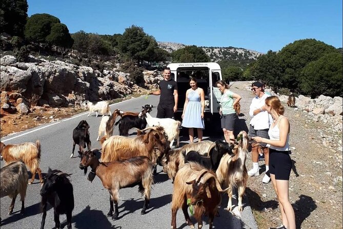 Agiofarago Gorge and Secret Beach Private Day Trip With Lunch  - Crete - Trip Details