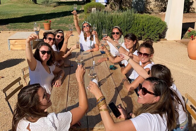Aix-en-Provence Half-Day Wine Tour Including Tasting, Transfer - Tour Details and Highlights