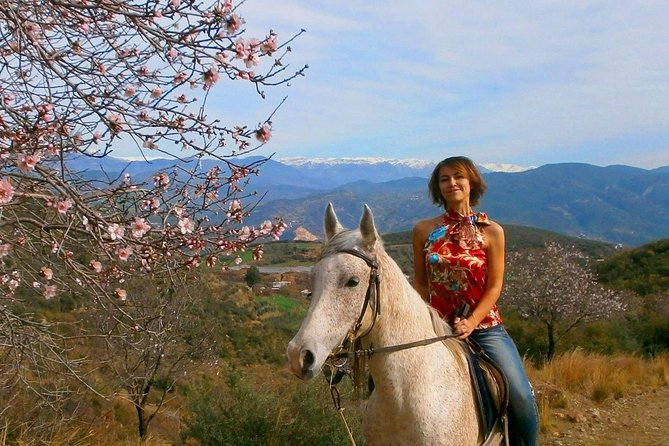 Alanya 3 Hour Horse Back Riding - Riding Experience and Level of Difficulty