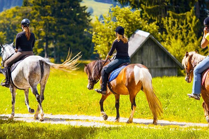 Alanya Horse Riding Experience With Free Hotel Transfer - Weather Conditions and Traveler Requirements