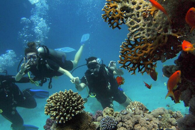Alanya Scuba Diving Tour With Free Hotel Transfer - Cancellation Policy and Refunds