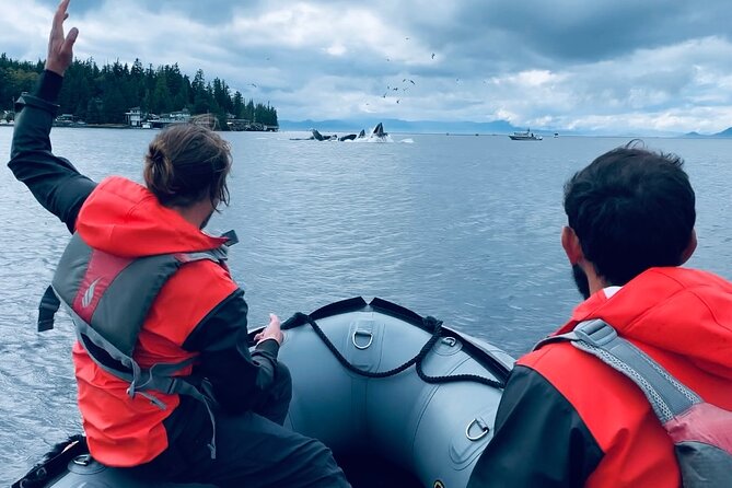 Alaska Marine Fast Boat Adventure - What To Expect