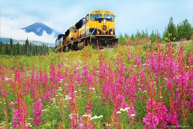 Alaska Railroad Denali to Anchorage One Way - Overview and Experience