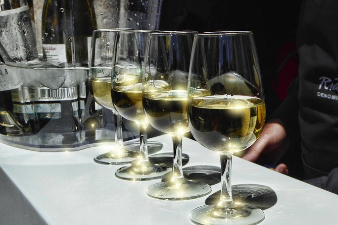 Albarino Wine Tasting and Picnic  - Vigo - Wine Tasting Experience