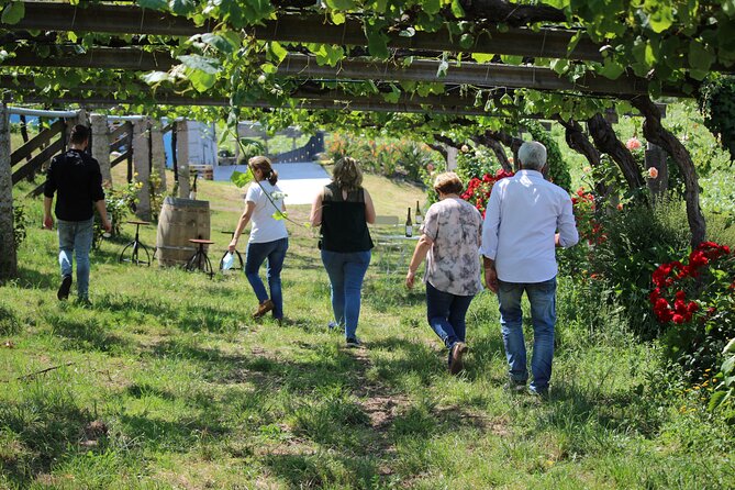 Albariño Wine Tasting With Winery Tour - Witness Vineyard Growth