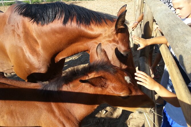 Alcamo Farm Animals and Aromatic Garden - Overview and Activities