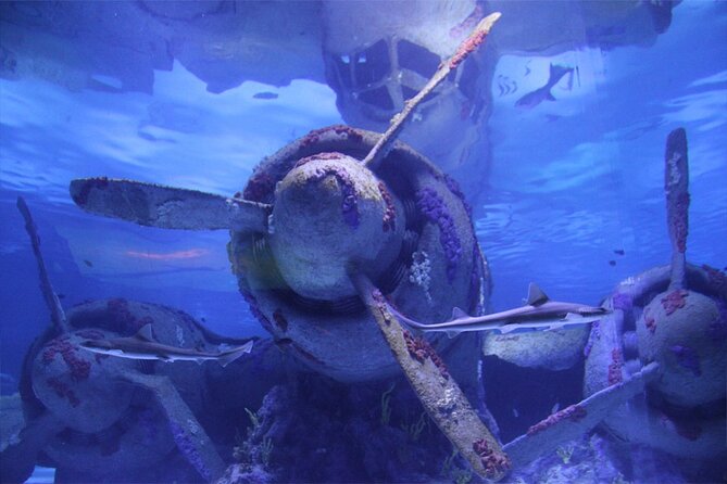 Alexander Waterfall and Antalya Aquarium Day Tour From Side - Tour Highlights