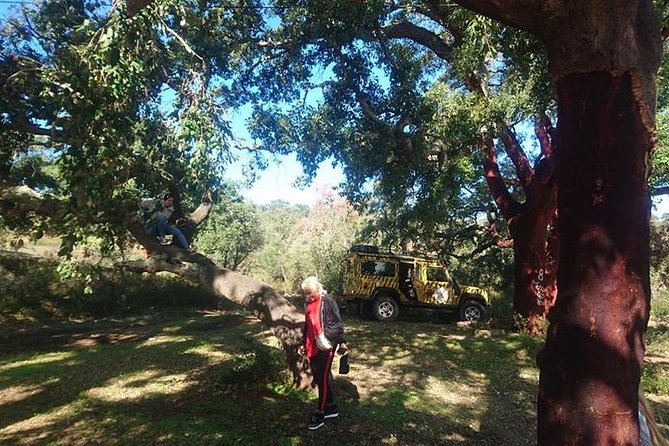 Algarve Half Day Jeep Safari (PRIVATE TOUR) - Cancellation Policy