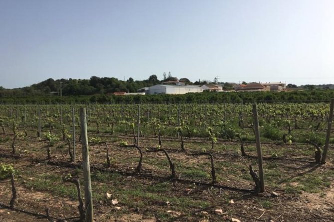 Algarve Wine Tour and Mountain Top Trip With Lunch or Dinner at Sunset Time - Cancellation Policy
