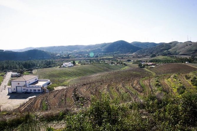 Algarve Wine Tour of Two Wine Estates - Private Wine Tour From Portimao