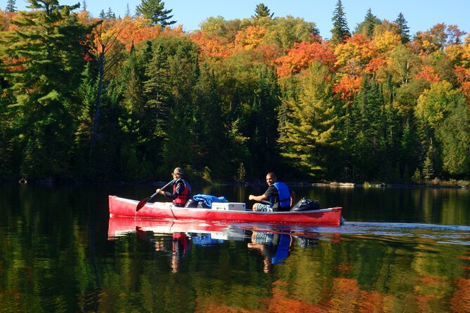 Algonquin Park 4-Day Luxury Moose/Beaver/Turtle Camping & Canoeing Adventure - Inclusions