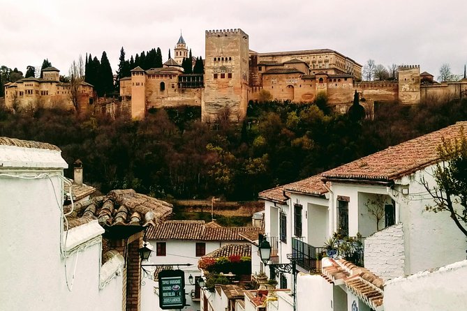 Alhambra and Granada City Center Sightseeing Tour! - Overview of Alhambra and Granada City Center Tour