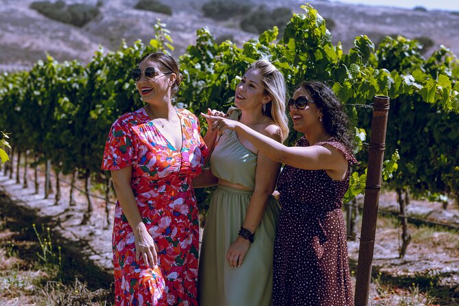 All-Inclusive Full-Day Wine Tasting Tour From Santa Ynez Valley - Tour Details