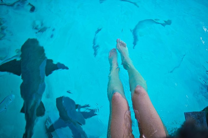 All Inclusive Intimate Pig Beach Excursion to Exuma Swimming Pigs Has 7 Stops - Boat Tour to the Exumas