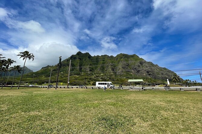 AllStar Oahu Circle Island Tour Dole Turtles Full Day - Tour Highlights