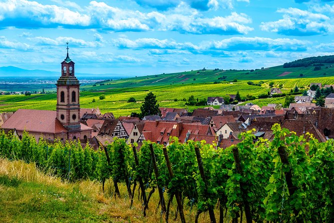 Alsace Half Day Wine Tour From Colmar - Explore the Alsatian Wine Route