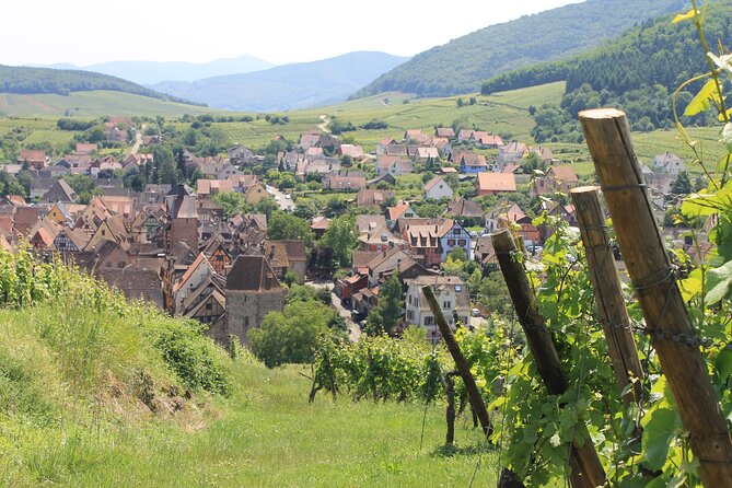 Alsace Wine Route Small Group Half-Day Tour With Tasting From Strasbourg - Lowest Price Guarantee