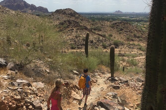 Amazing 2-Hour Guided Hiking Adventure in the Sonoran Desert - What To Expect