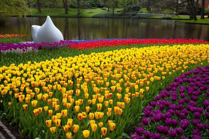 Amsterdam: Tour to Keukenhof, Tulip Farm Visit Windmill Cruise - The Sum Up