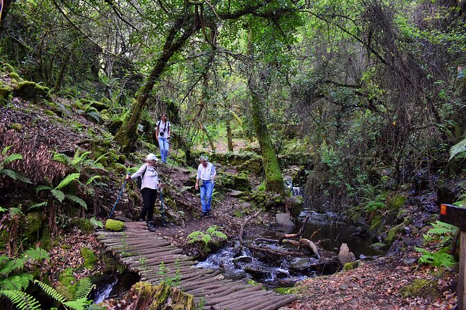 An Adventure Through the Schist Villages of Lousã (With Walk) - Uncovering the Hidden Gems of Lousãs Schist Villages