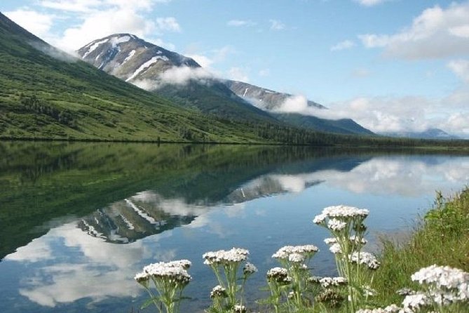 Anchorage to Seward Cruise Transfer and Private Tour - Overview