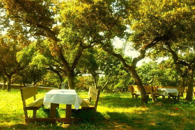 Andalucia Bull and Horse Farm and Ronda Private Tour From Malaga - Admire Countryside and White Villages