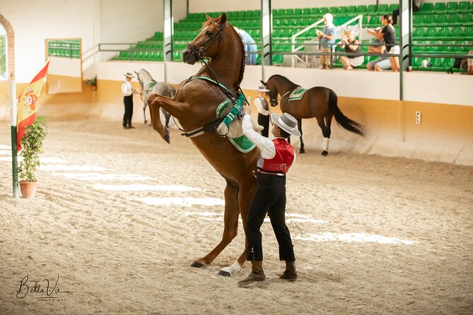 Andalusian Horse and Flamenco Show in Malaga at 5:45 Pm - Start Time and Cancellation Policy