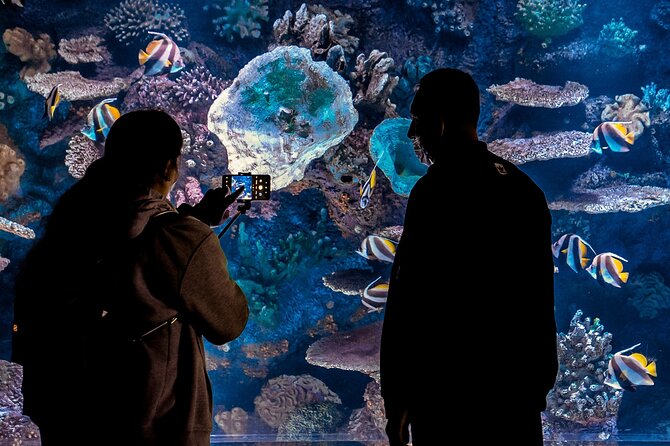 Antalya Aquarium Full-Day Trip - Tour Highlights