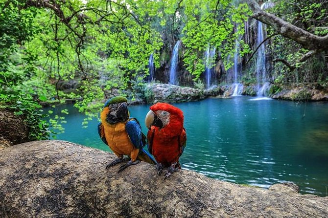 Antalya City Tour With Cable Car - Highlights of the Cable Car Ride
