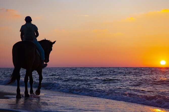 Antalya Horse Riding On Beach And Through The Forests For 2 Hours - Booking and Reservation