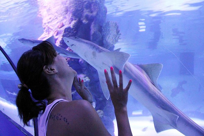 Antalya Tunnel Aquarium - Departure From Side - Tour Overview