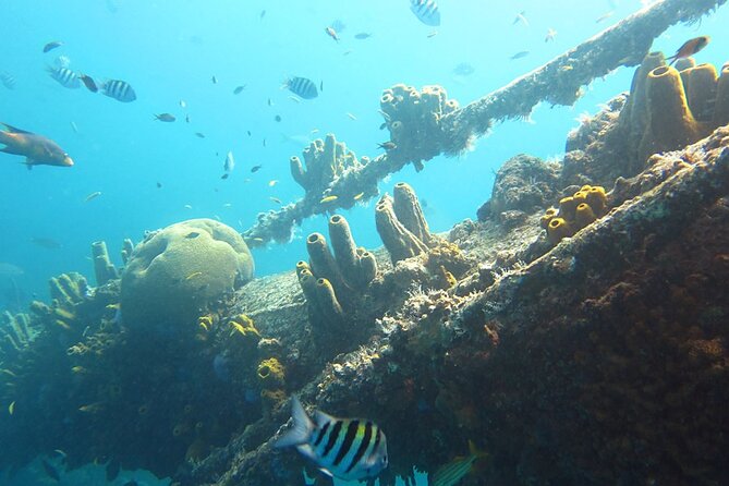 Antilla Shipwreck Seabob Tour - Tour Details and Inclusions