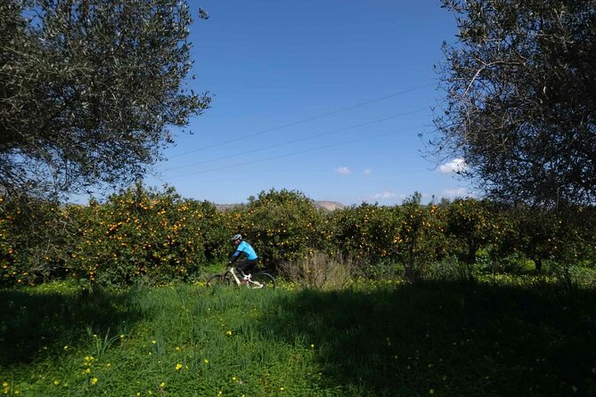 Apicorno Trails Chania Bike Tour - Cancellation Policy