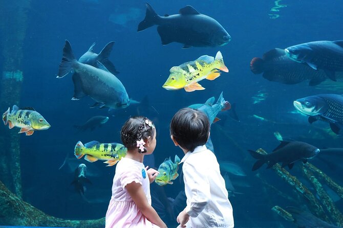 AquARia Phuket and AR Trick Eye Museum Entrance Ticket - Thailand - Overview of AquARia Phuket