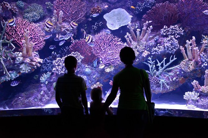 Aquarium & Face2face Wax Museum From Antalya - Family Fun at Antalya Aquarium