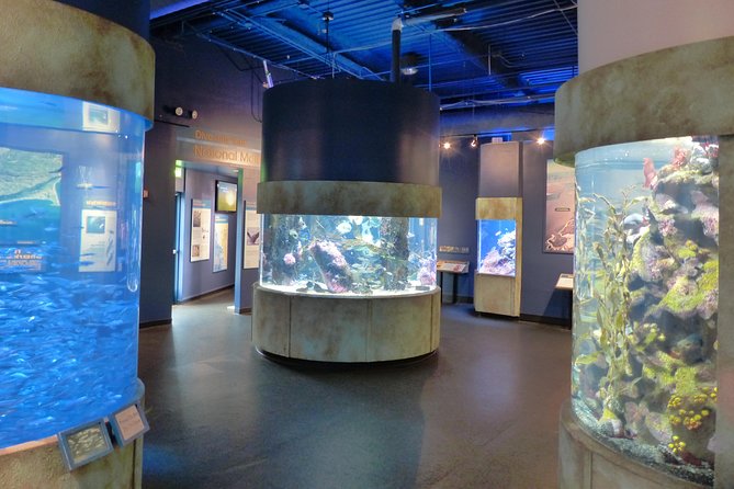 Aquarium of the Bay General Admission Ticket - Overview and Experience