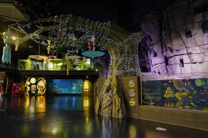 Aquarium Phuket and AR Trick Eye Museum Combo Tickets - Pricing and Booking Details