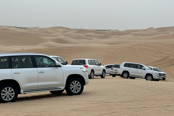 Arabian Desert Safari Abu Dhabi: 6Hour Tour With BBQ & Live Shows - Tour Highlights