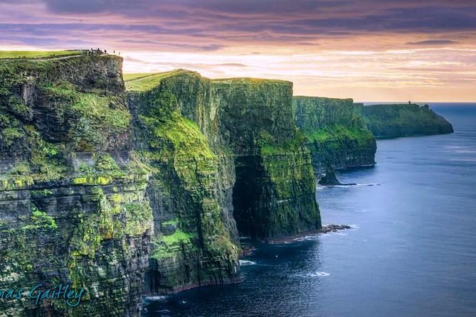 Aran Island, Cliffs of Moher & Cruise Tour From Galway. Guided. - Tour Highlights