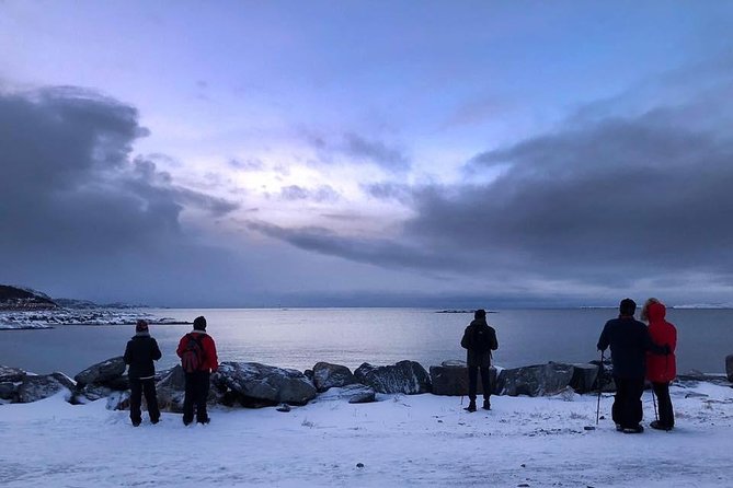 Arctic Coastal Walk - Nordic Scenery and Viking History