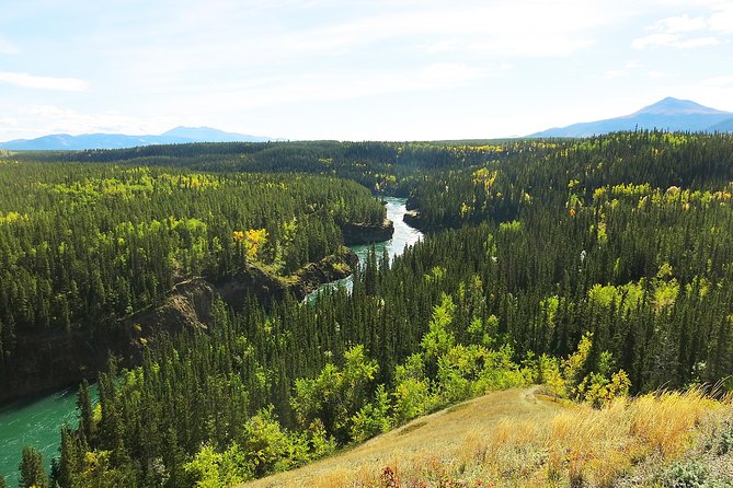 Arctic Day: Hiking Tour Half Day - Exploring the Yukon Territorys Wilderness
