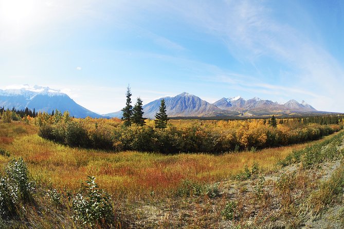 Arctic Day: Kluane National Park Tour Full Day - Overview and Highlights