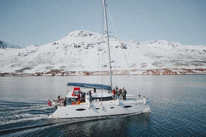 Arctic Fjordcruise & Safari in Tromso With Luxury Catamaran - Arctic Fjordcruise Experience