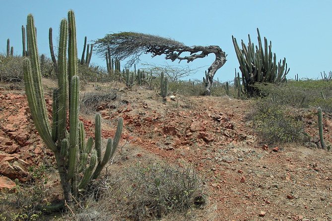 Arikok Hiking Tour in Aruba - Tour Details