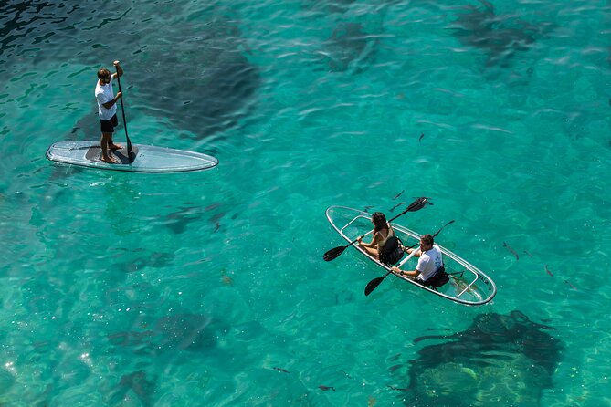 Arrábida: Guided Transparent Kayaking Tour - Tour Overview