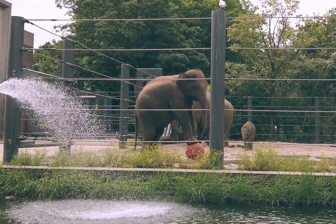 Artis Royal Zoo Tickets in Amsterdam - Ticket Details