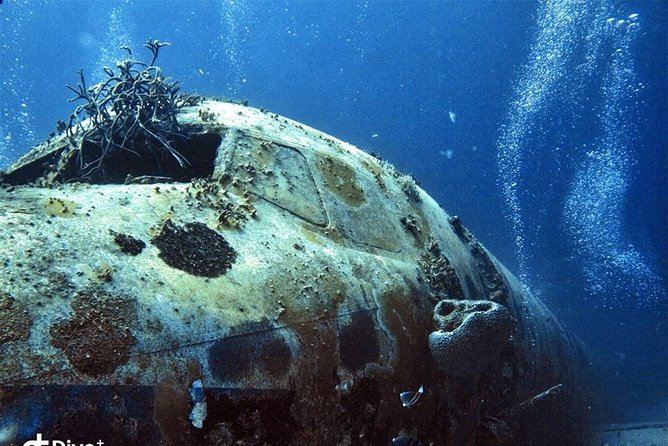 Aruba 2-Tank Guided Dive for Certified Divers With Rental Equipment - Overview and Inclusions