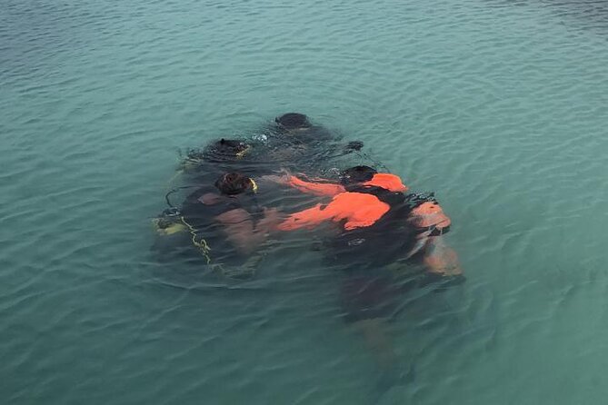 Aruba Discover Scuba Diving - Pickup and Transportation Details