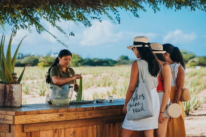 Aruba Full-Island Tour - Good To Know