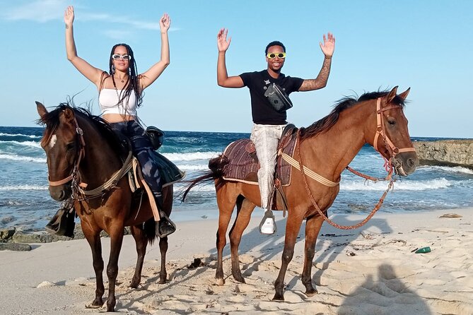 Aruba Horseback Beach & National Park Ride - Pricing and Booking